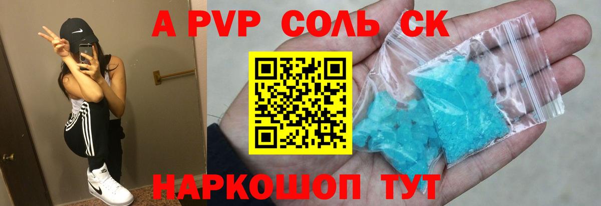 A PVP СК Камышин