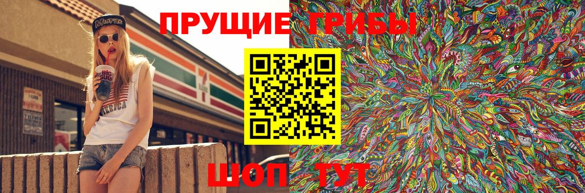 Галлюциногенные грибы MAGIC MUSHROOMS  Псилоцибиновые грибы MAGIC MUSHROOMS  Камышин  Вход с VPN 